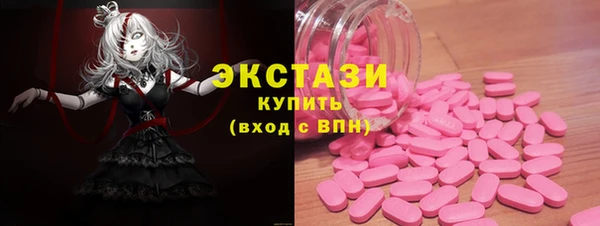 ECSTASY Инсар