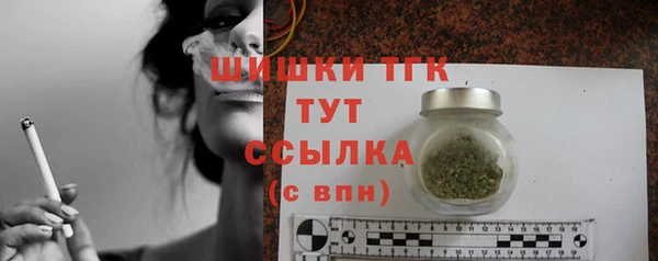 ECSTASY Инсар