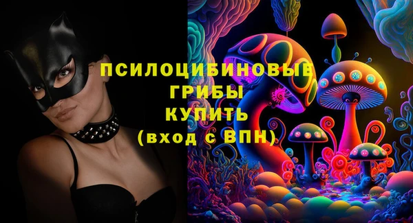 ECSTASY Инсар