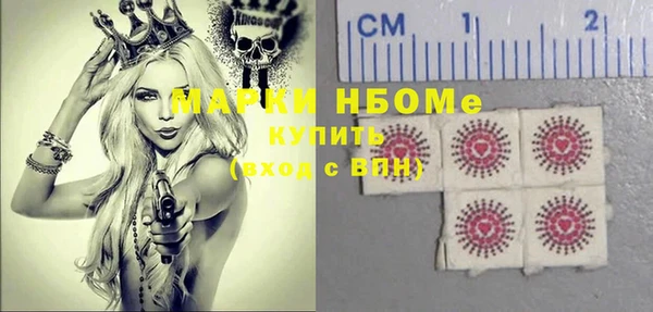 ECSTASY Инсар