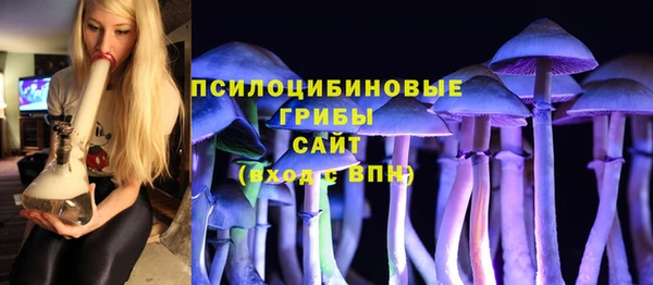 марки lsd Инта