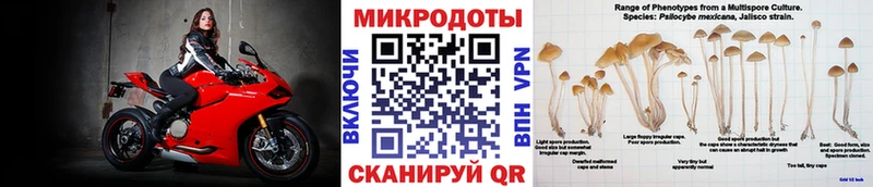 Купить где  Зарайск  Галлюциногенные грибы Magic Shrooms 