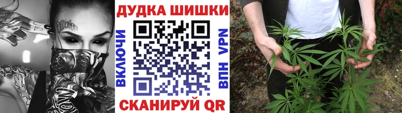 Бошки марихуана Amnesia  Купить где  Зарайск 
